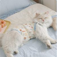 The cat is comfortable to wear, which helps it recover faster.