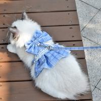 double locking buckle detail for cat skirt harness