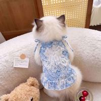 Cat Outfit Showcase