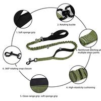 Highlighting the Benefits of Shock-Absorbing Dog Leashes