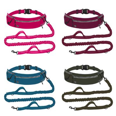 Pet Leash