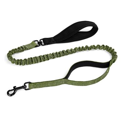 Pet Leash
