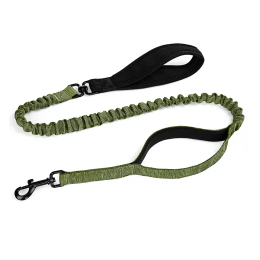 Shock-Absorbing Dog Leash for Medium & Large Dogs