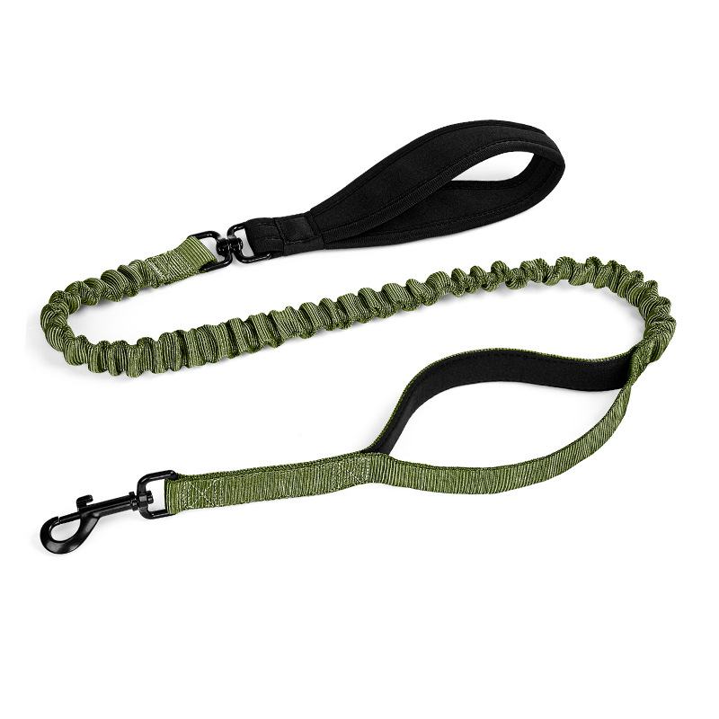 Shock-Absorbing Dog Leash for Medium & Large Dogs