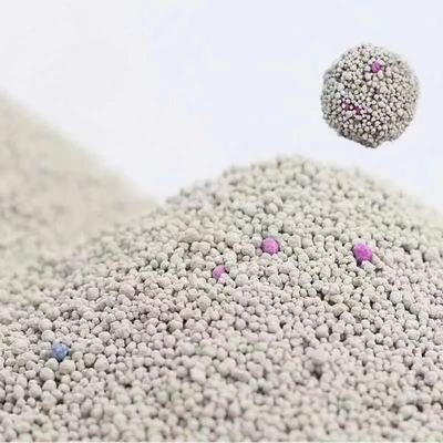 Cat Litter