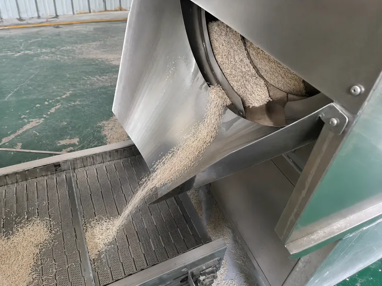 Cat Litter Production