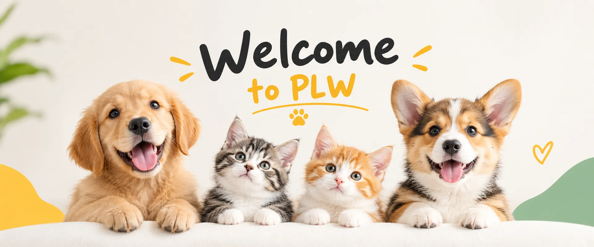 Cute pets gather together, welcome to PLW