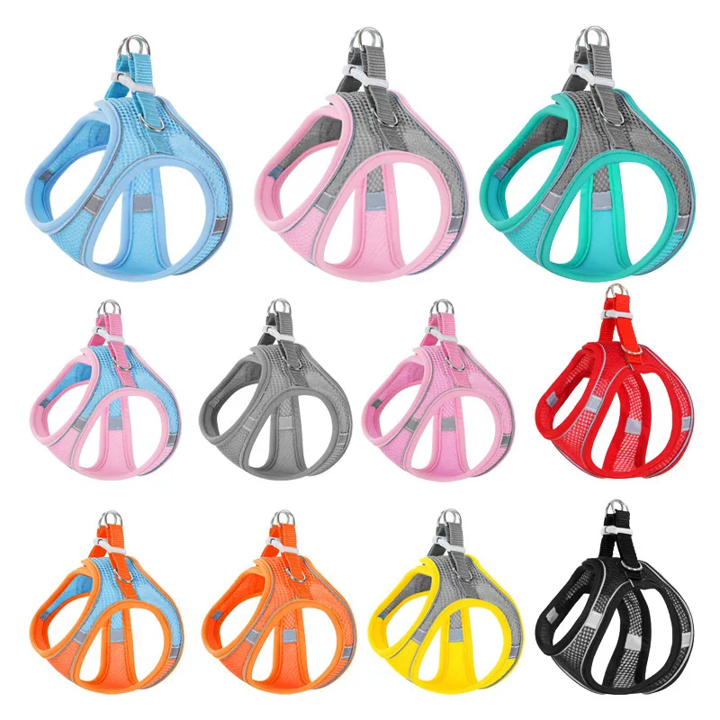 Pet Leash