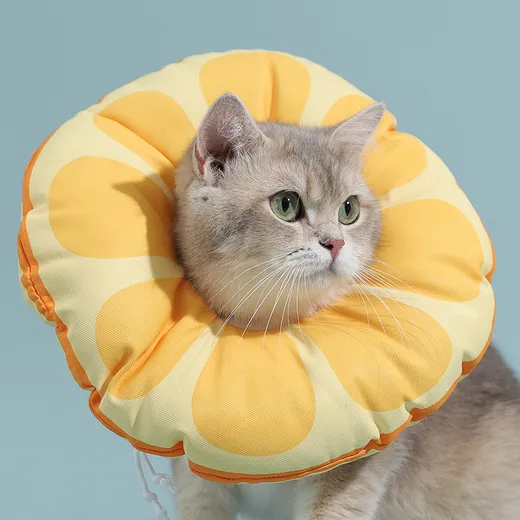 Soft Cat Recovery Elizabethan Collar