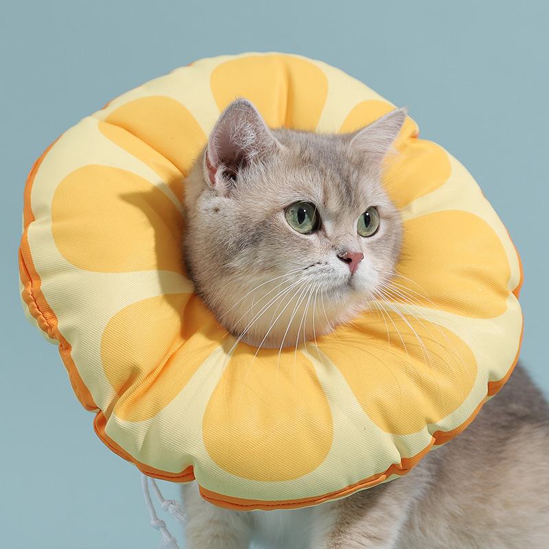 Soft Cat Recovery Elizabethan Collar