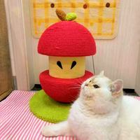 White cat resting beside red apple shaped sisal cat scratcher