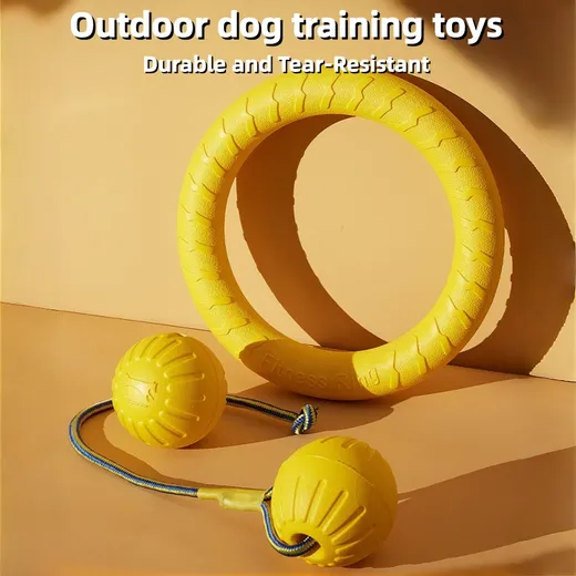 Dog Trainer Outdoor Interactive Toy Set