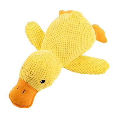 Dog Toys