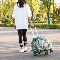Telescopic Handle & Smooth Wheels