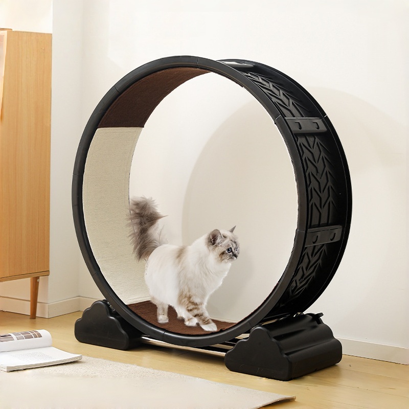 Low Noise Cat Treadmill for Indoor Cats,Cats Treadmill for Pets Fitness & Health