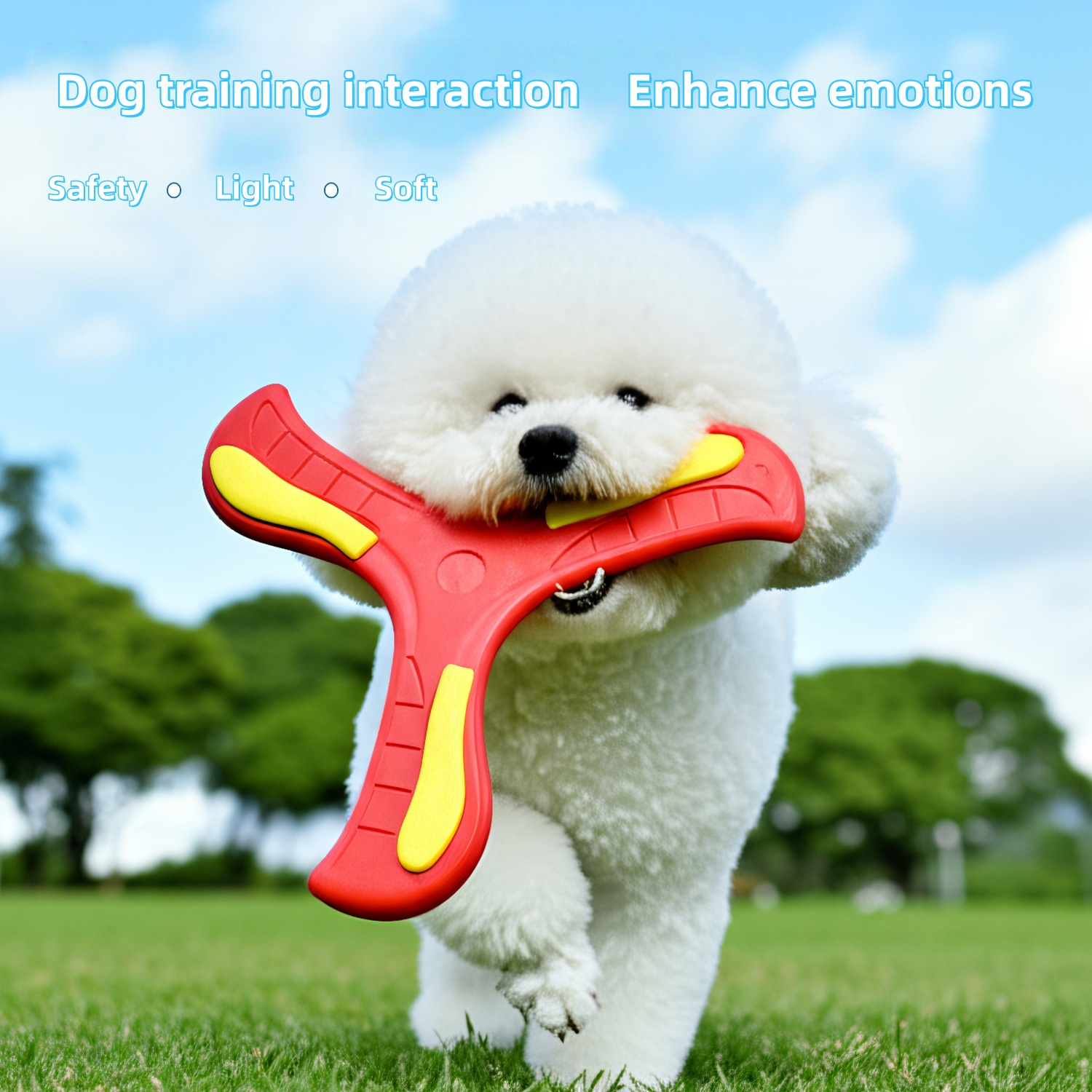 Dog frisbee toy, dog training frisbee, dog entertainment toy