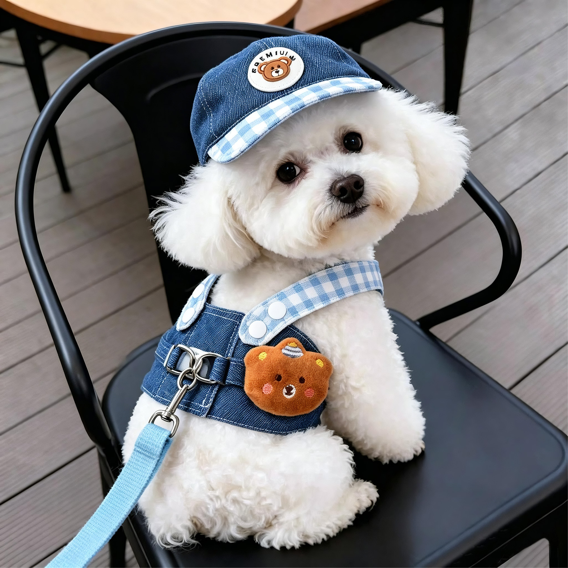 Stylish leash, dog leash, denim outfit leash