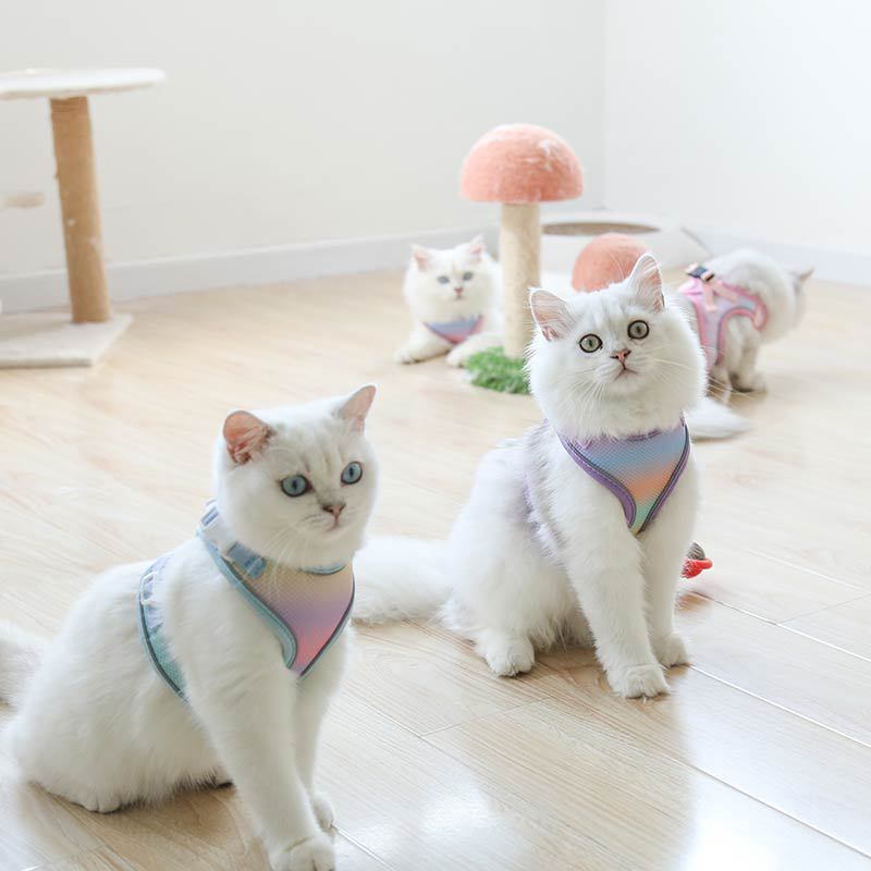 Cat leash,Anti-escape cat leash,Popular vest-style cat leash,Rope kitten harness